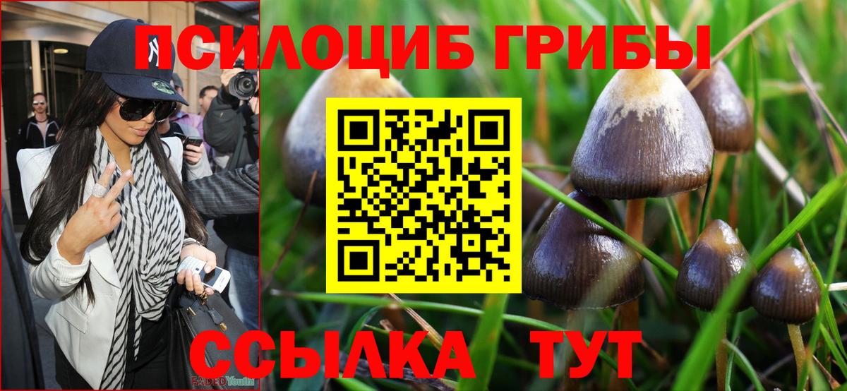 Долгопрудный  Галлюциногенные грибы прущие грибы  Вход с VPN 